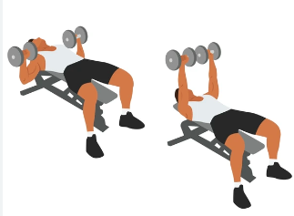 Chest Press - DB bench press