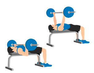 Chest Press - bench press