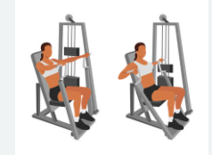 Chest Press - machine