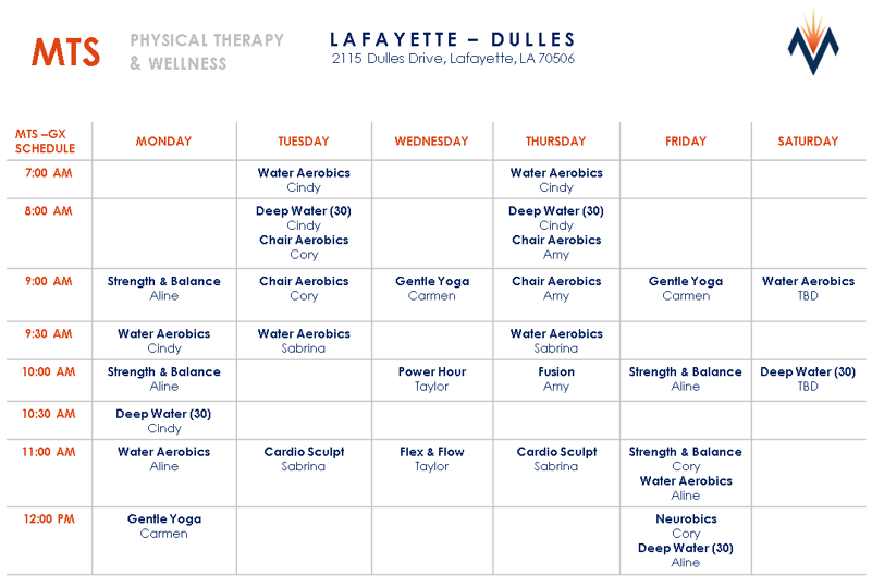 Dulles Jan 2026 Schedule