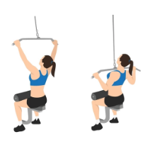 Lat pull down January