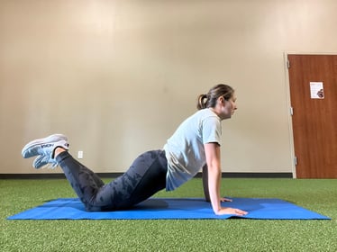 Modified Plank