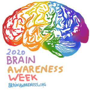 brain awareness
