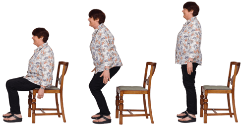sit-to-stand